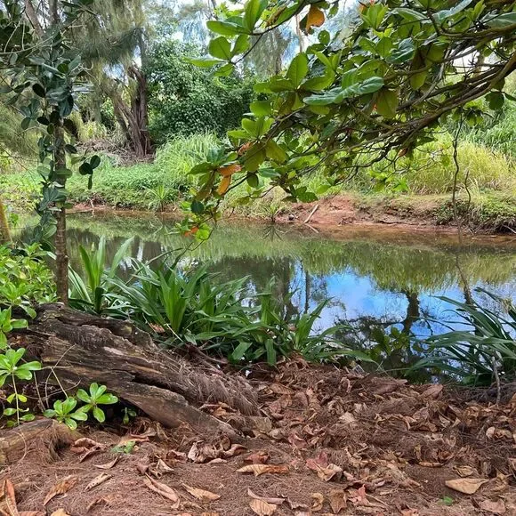 The Poshalots live listing! - Picture 6 of 7